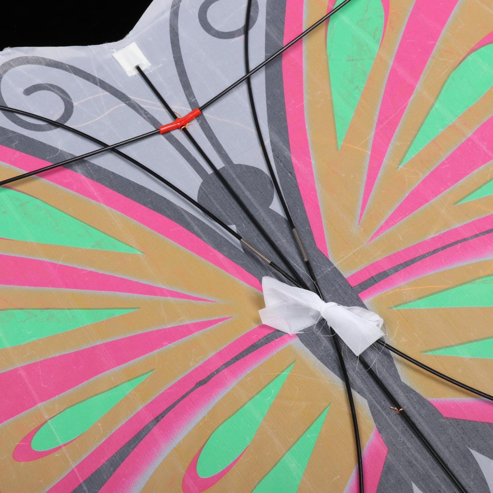 Beautiful Butterfly Kite Outdo - Outdoor Sport Activities For Kids 评论和价格
