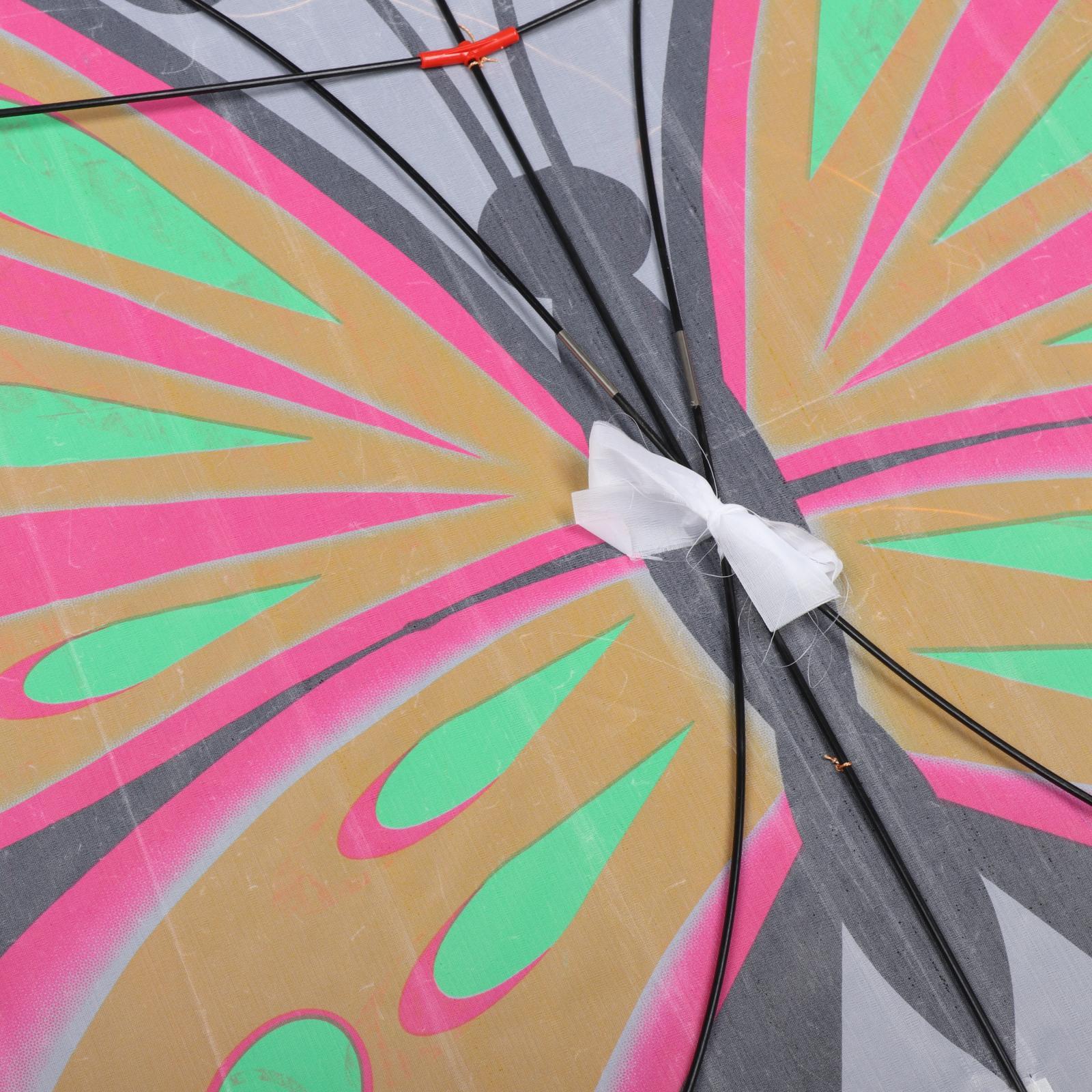 Beautiful Butterfly Kite Outdo - Outdoor Sport Activities For Kids 评论和价格